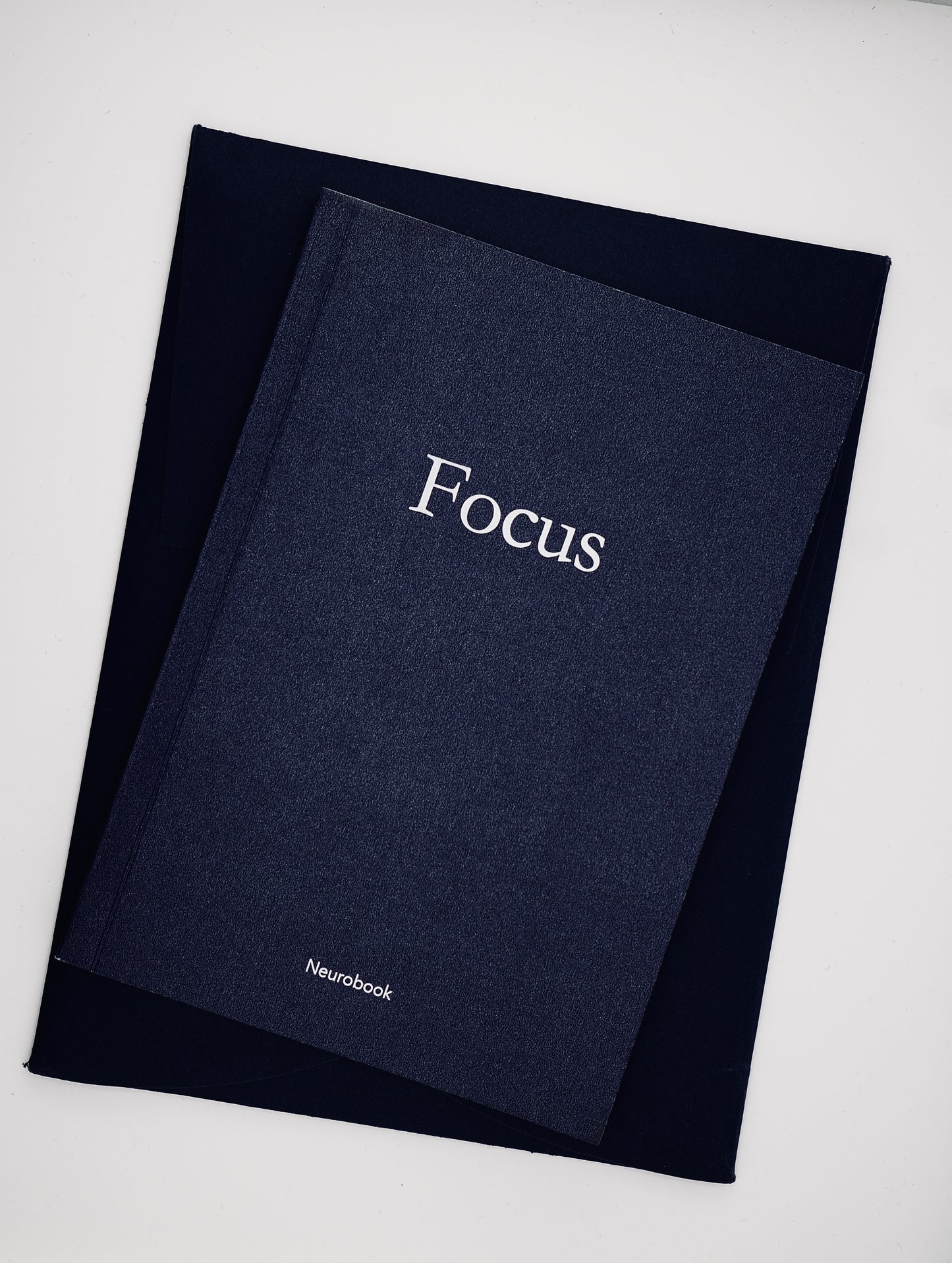 The Focus Planner – The Smart Monthly Planner for Big Goals, Less Stress, More Progress.